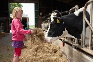 Stacaravan huren Friesland, Stacaravan huren Friesland