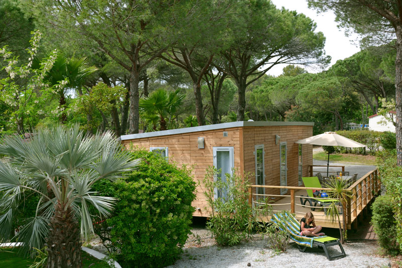 Glamping Resort La Baume La Palmeraie