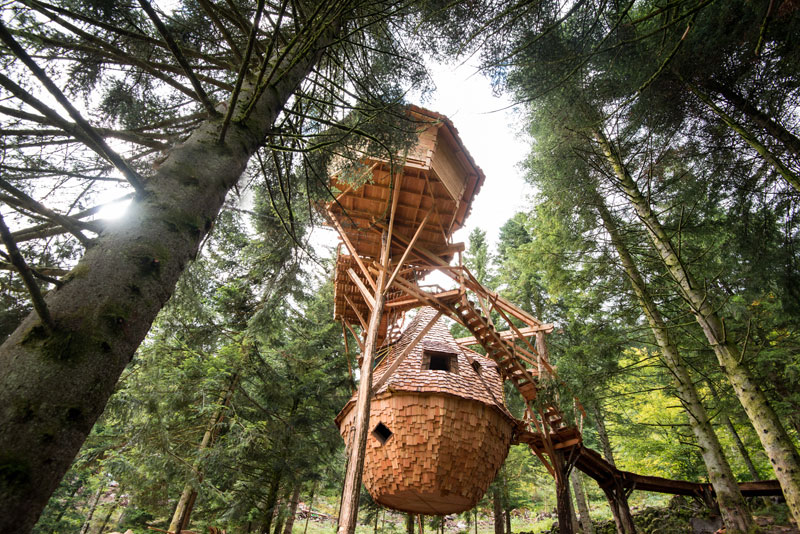 slapen in een boomhut, Slapen in een boomhut