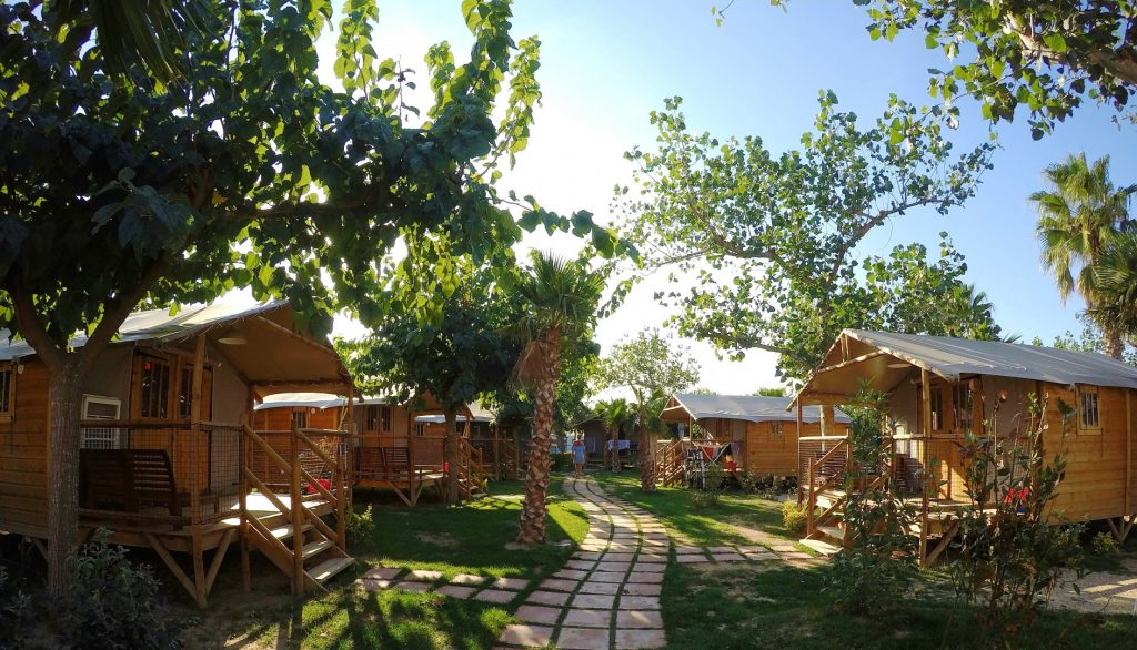 Glamping Camping Las Palmeras