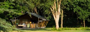 Campings Zuid Frankrijk, Top 20 campings Zuid Frankrijk met glamping opties