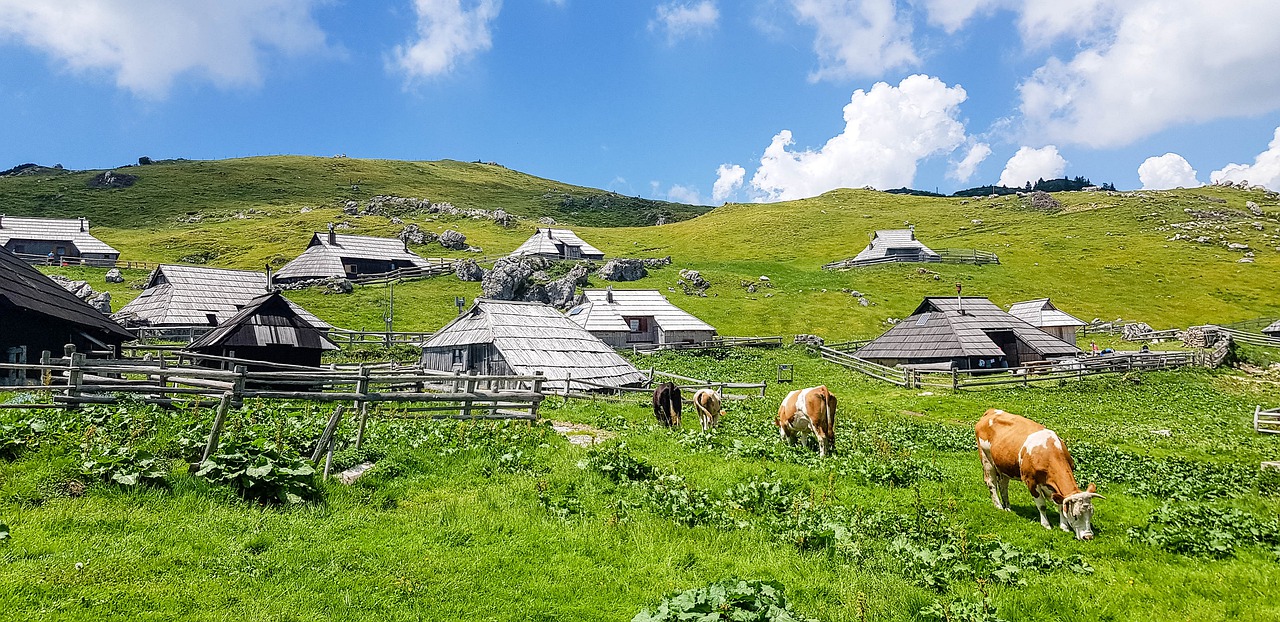 glamping Slovenië, Glamping Slovenië