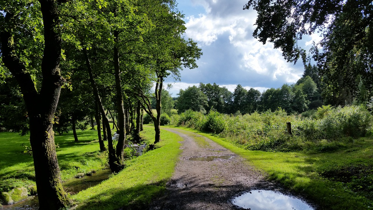 Glamping Ardennen, Glamping Ardennen