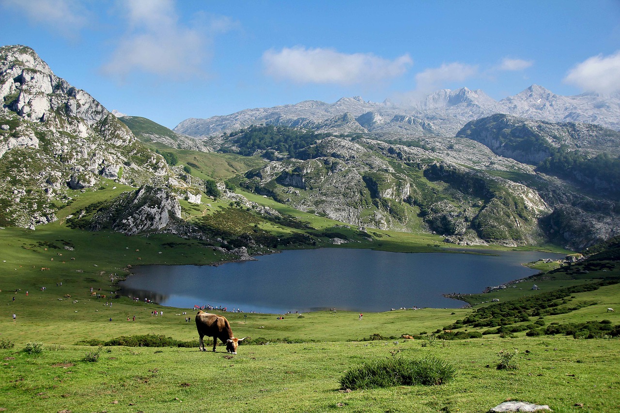 Luxe kamperen in de Franse Pyreneeën, Luxe kamperen in de Franse Pyreneeën