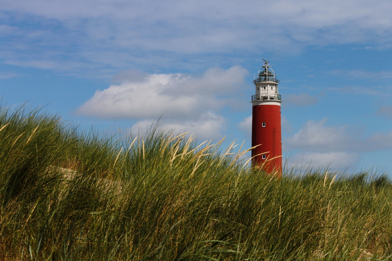 safaritent Nederland, Safaritent huren Nederland