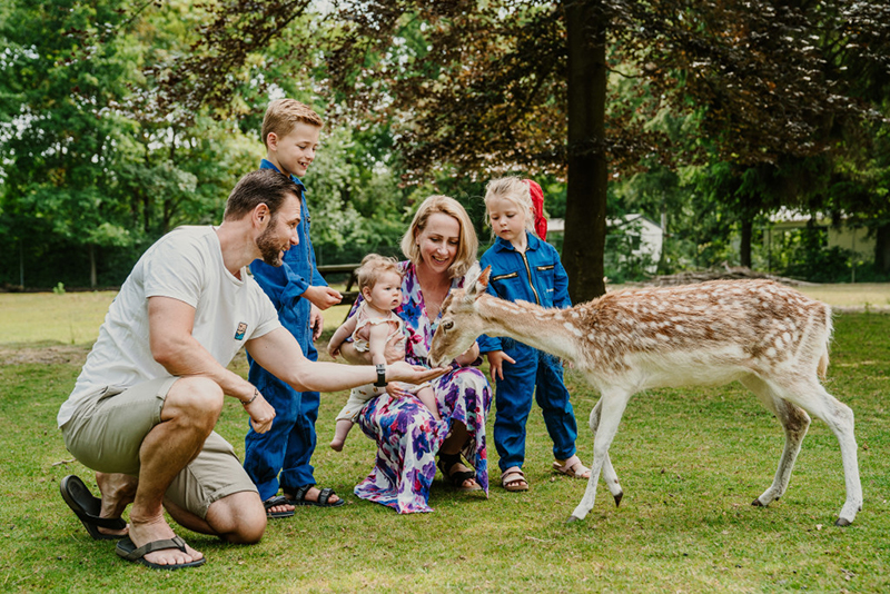 Glamping Vakantiepark Dierenbos