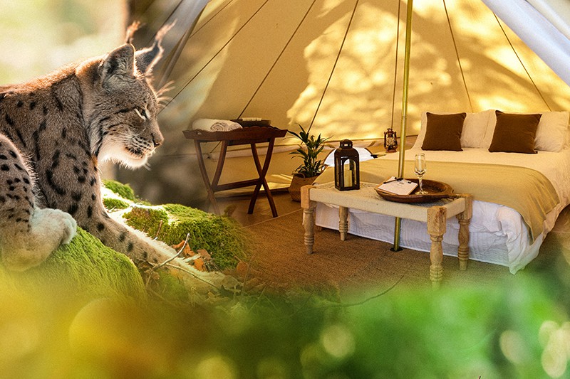 Glamping Domein van de Grotten van Han